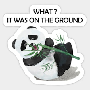 Panda Funny, What it was on the ground Sticker